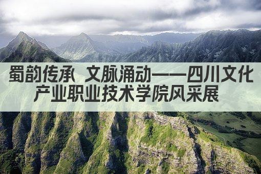 蜀韵传承 文脉涌动——四川文化产业职业技术学院风采展 