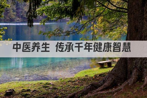 中医养生 传承千年健康智慧 