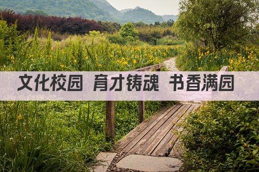 文化校园 育才铸魂 书香满园 