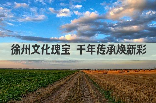 徐州文化瑰宝 千年传承焕新彩