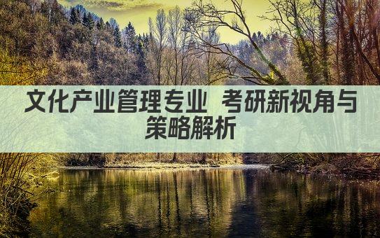 文化产业管理专业 考研新视角与策略解析